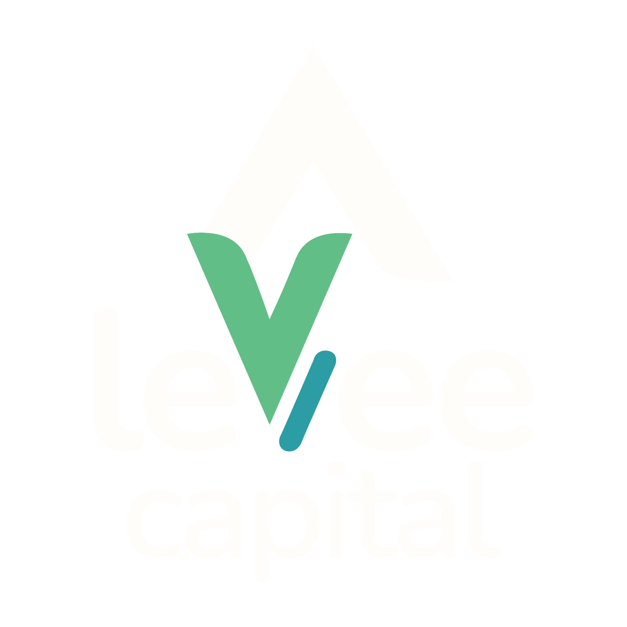 Levee Capital